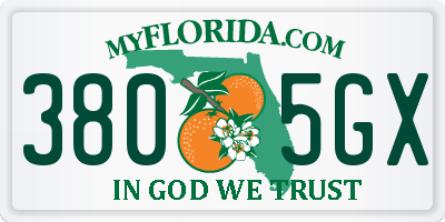 FL license plate 3805GX