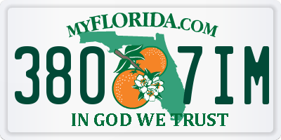 FL license plate 3807IM