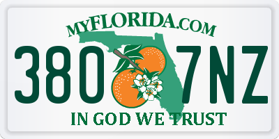 FL license plate 3807NZ