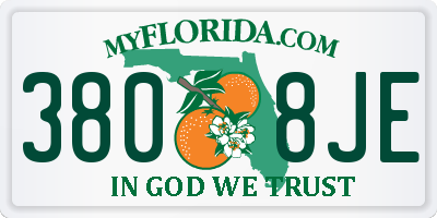 FL license plate 3808JE