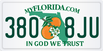 FL license plate 3808JU