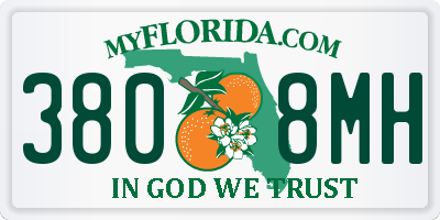 FL license plate 3808MH