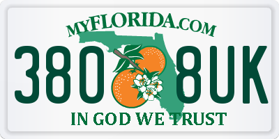 FL license plate 3808UK