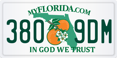 FL license plate 3809DM
