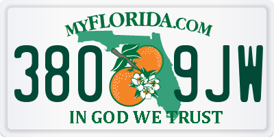 FL license plate 3809JW