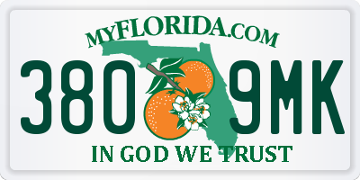 FL license plate 3809MK
