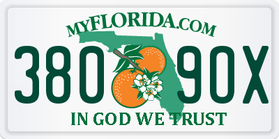 FL license plate 3809OX