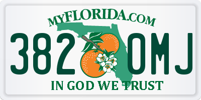 FL license plate 3820MJ