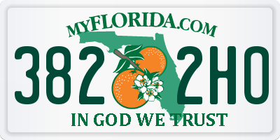 FL license plate 3822HO