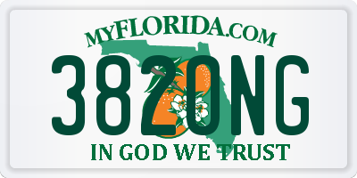 FL license plate 382ONG