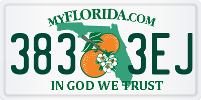 FL license plate 3833EJ