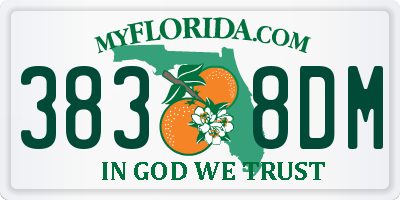 FL license plate 3838DM