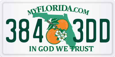 FL license plate 3843DD