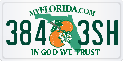 FL license plate 3843SH