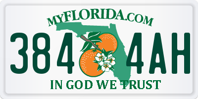 FL license plate 3844AH