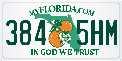 FL license plate 3845HM