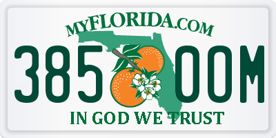 FL license plate 3850OM