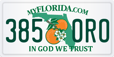 FL license plate 3850RO