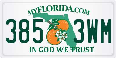 FL license plate 3853WM