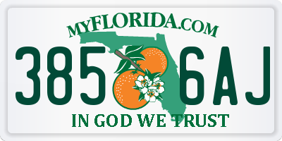 FL license plate 3856AJ