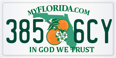 FL license plate 3856CY