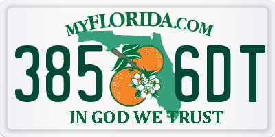 FL license plate 3856DT