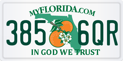 FL license plate 3856QR