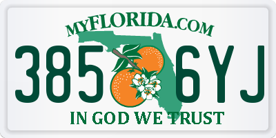 FL license plate 3856YJ