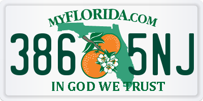 FL license plate 3865NJ