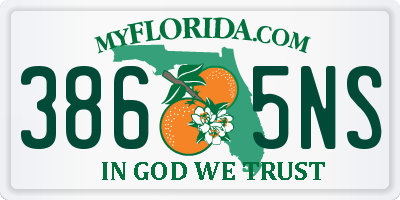 FL license plate 3865NS