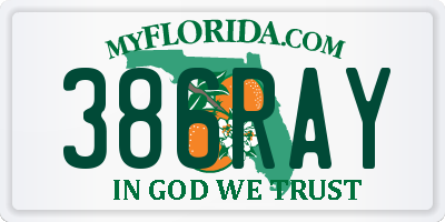 FL license plate 386RAY