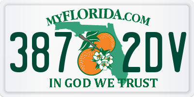 FL license plate 3872DV