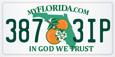 FL license plate 3873IP