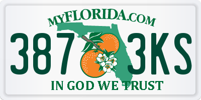 FL license plate 3873KS