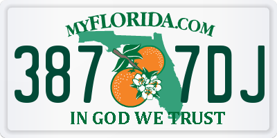 FL license plate 3877DJ