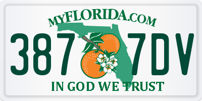FL license plate 3877DV