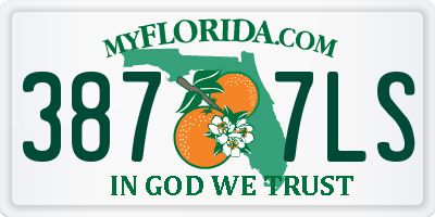 FL license plate 3877LS