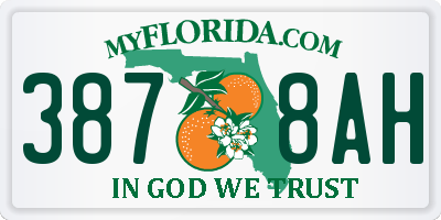 FL license plate 3878AH