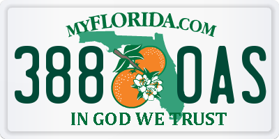 FL license plate 3880AS