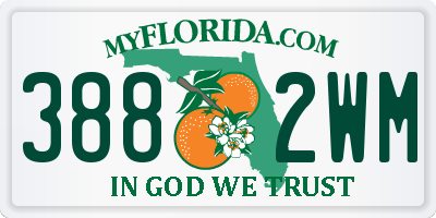 FL license plate 3882WM