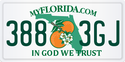 FL license plate 3883GJ