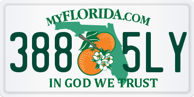 FL license plate 3885LY