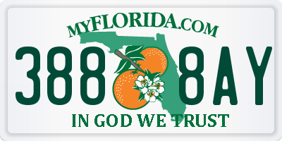 FL license plate 3888AY