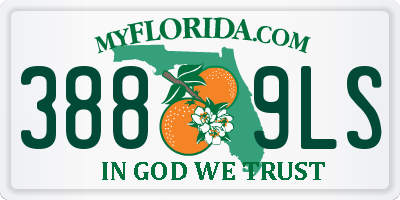 FL license plate 3889LS