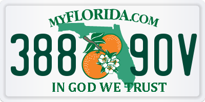 FL license plate 3889OV
