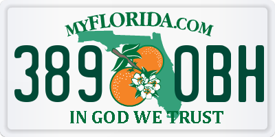 FL license plate 3890BH