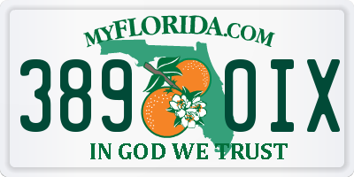 FL license plate 3890IX