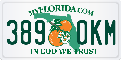 FL license plate 3890KM
