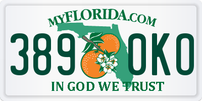 FL license plate 3890KO