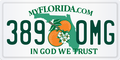 FL license plate 3890MG